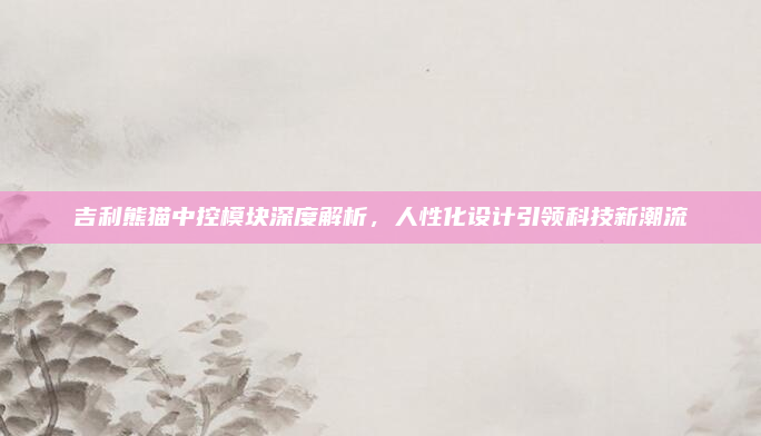 吉利熊猫中控模块深度解析，人性化设计引领科技新潮流