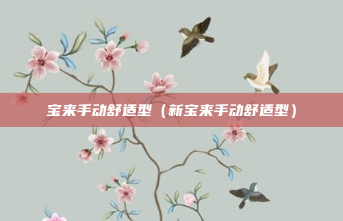 宝来手动舒适型（新宝来手动舒适型）