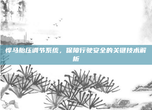 悍马胎压调节系统，保障行驶安全的关键技术解析