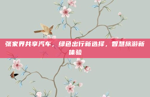 张家界共享汽车,绿色出行新选择,智慧旅游新体验
