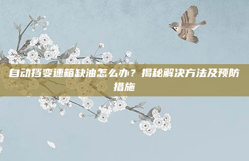 自动挡变速箱缺油怎么办？揭秘解决方法及预防措施