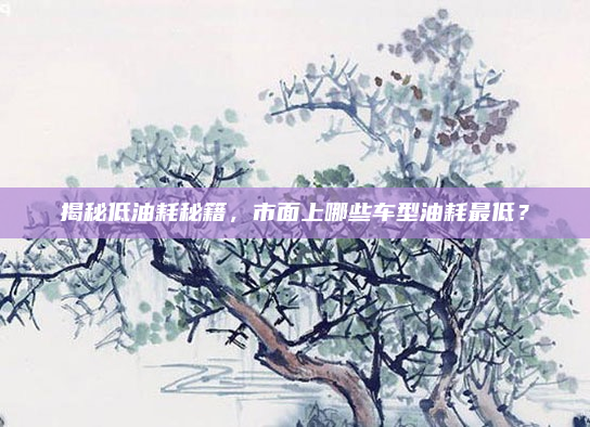揭秘低油耗秘籍,市面上哪些车型油耗最低?
