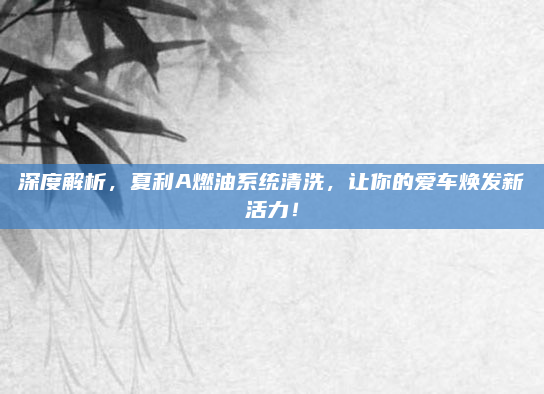 深度解析，夏利A燃油系统清洗，让你的爱车焕发新活力！