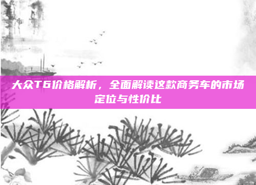 大众T6价格解析,全面解读这款商务车的市场定位与性价比