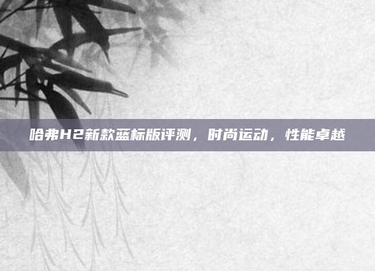 哈弗H2新款蓝标版评测，时尚运动，性能卓越