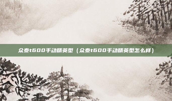 众泰t600手动精英型(众泰t600手动精英型怎么样)