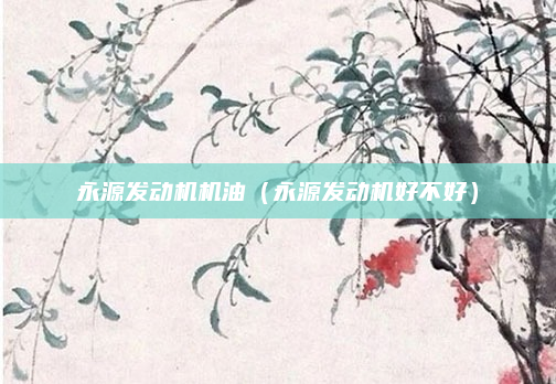永源发动机机油(永源发动机好不好)
