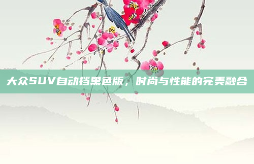 大众SUV自动挡黑色版,时尚与性能的完美融合