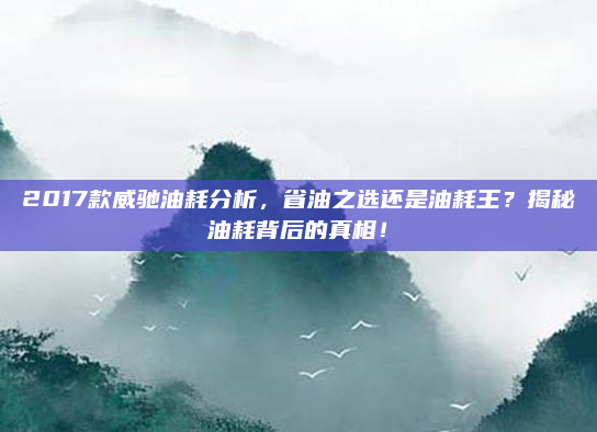 2017款威驰油耗分析,省油之选还是油耗王?揭秘油耗背后的真相!