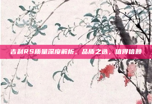 吉利RS质量深度解析，品质之选，值得信赖