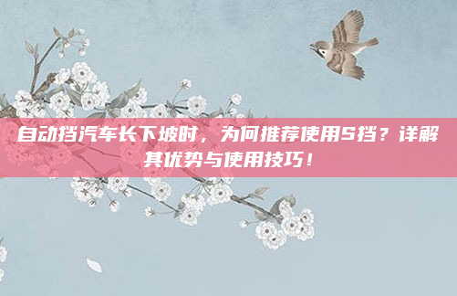 自动挡汽车长下坡时,为何推荐使用S挡?详解其优势与使用技巧!