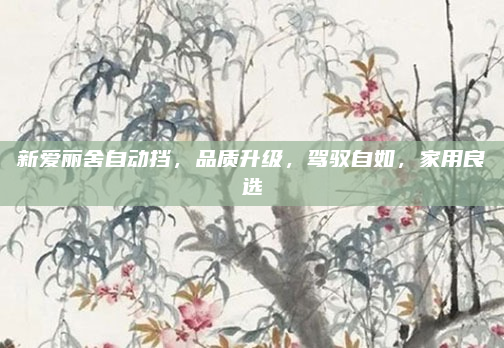 新爱丽舍自动挡,品质升级,驾驭自如,家用良选