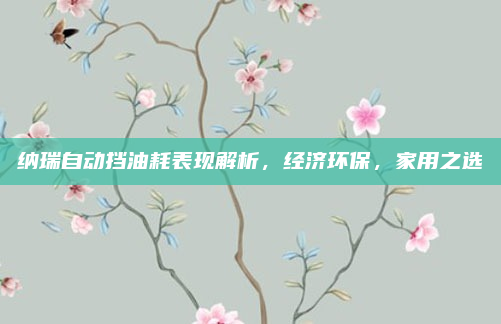 纳瑞自动挡油耗表现解析,经济环保,家用之选