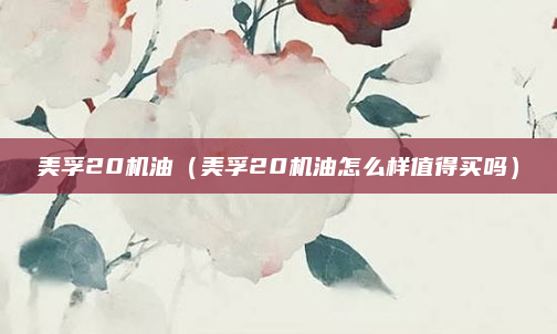 美孚20机油(美孚20机油怎么样值得买吗)