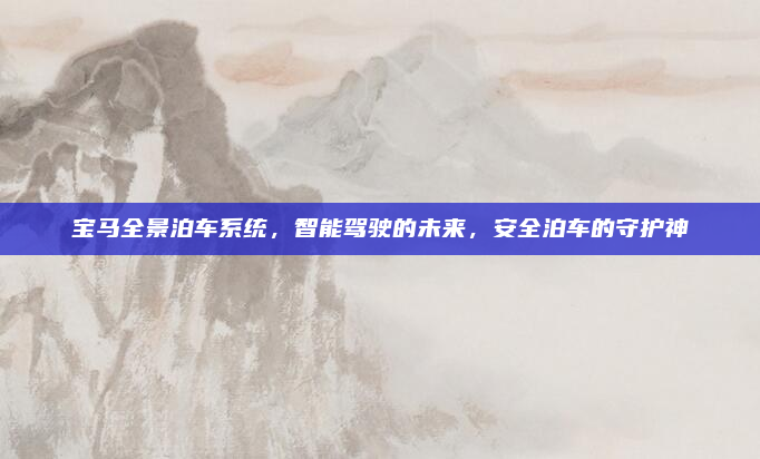 宝马全景泊车系统，智能驾驶的未来，安全泊车的守护神