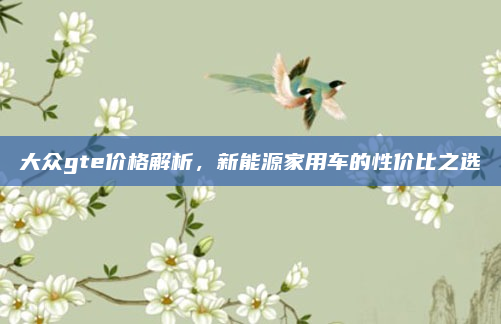 大众gte价格解析,新能源家用车的性价比之选