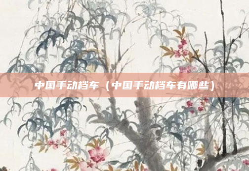 中国手动档车(中国手动档车有哪些)