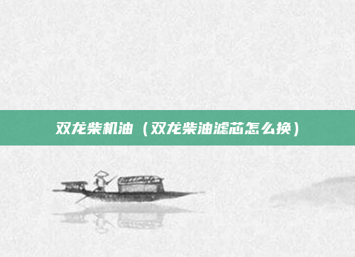 双龙柴机油(双龙柴油滤芯怎么换)