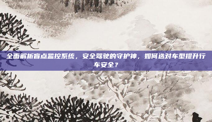 全面解析盲点监控系统,安全驾驶的守护神,如何选对车型提升行车安全?