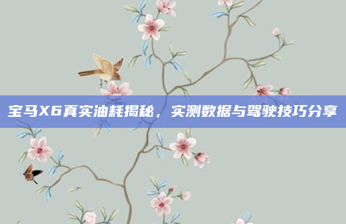 宝马X6真实油耗揭秘,实测数据与驾驶技巧分享