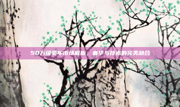 50万级豪车市场解析,奢华与技术的完美融合