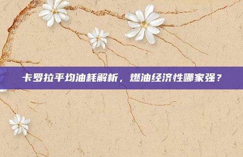 卡罗拉平均油耗解析，燃油经济性哪家强？