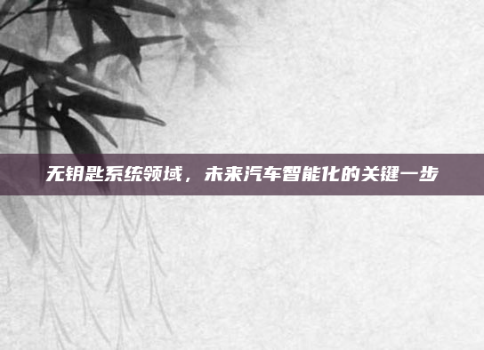 无钥匙系统领域，未来汽车智能化的关键一步