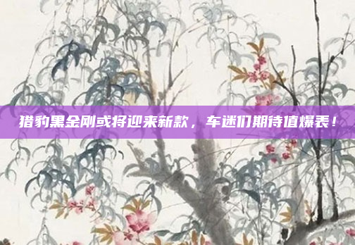 猎豹黑金刚或将迎来新款，车迷们期待值爆表！