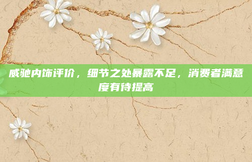 威驰内饰评价,细节之处暴露不足,消费者满意度有待提高