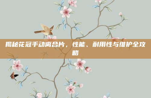 揭秘花冠手动离合片,性能、耐用性与维护全攻略