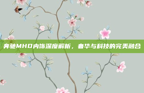 奔驰MHD内饰深度解析,奢华与科技的完美融合