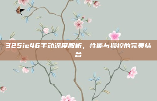 325ie46手动深度解析，性能与操控的完美结合