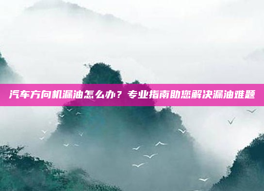 汽车方向机漏油怎么办?专业指南助您解决漏油难题