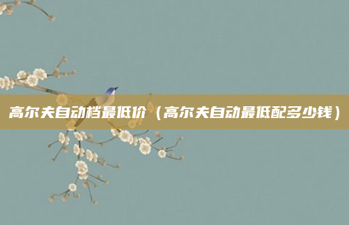 高尔夫自动档最低价（高尔夫自动最低配多少钱）