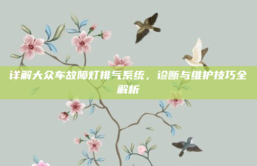 详解大众车故障灯排气系统，诊断与维护技巧全解析