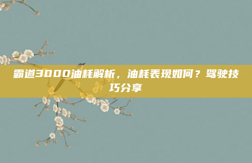 霸道3000油耗解析，油耗表现如何？驾驶技巧分享