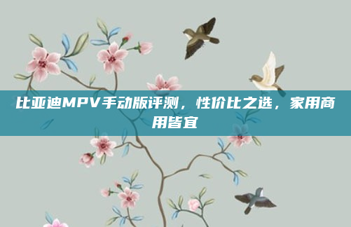 比亚迪MPV手动版评测,性价比之选,家用商用皆宜