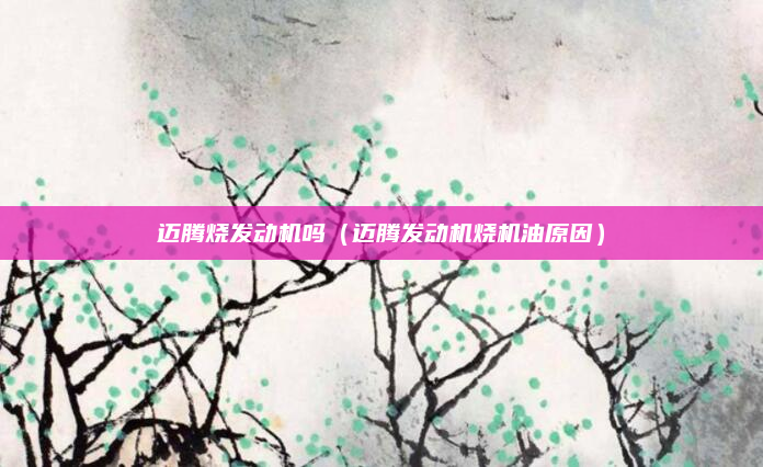 迈腾烧发动机吗（迈腾发动机烧机油原因）
