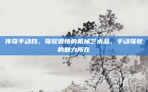 传奇手动挡,驾驭激情的机械艺术品,手动驾驶的魅力所在