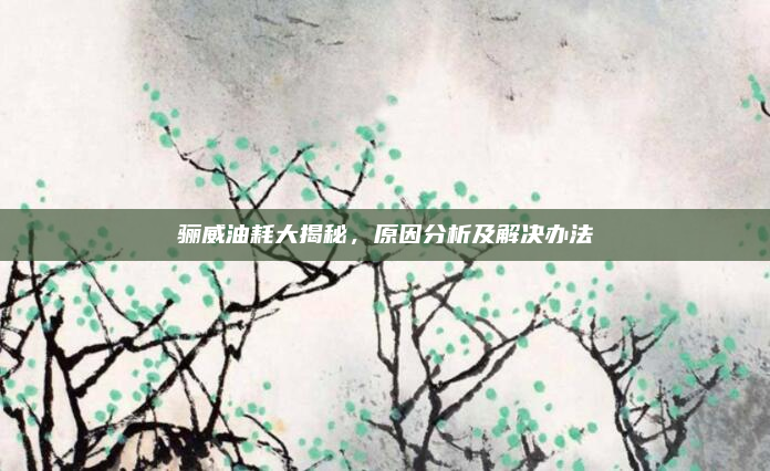 骊威油耗大揭秘,原因分析及解决办法