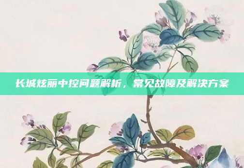 长城炫丽中控问题解析，常见故障及解决方案