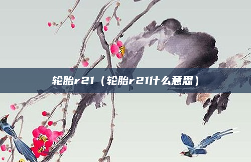 轮胎r21（轮胎r21什么意思）