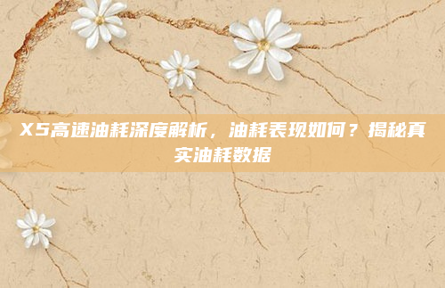 X5高速油耗深度解析，油耗表现如何？揭秘真实油耗数据