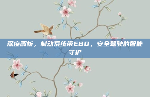 深度解析，制动系统带EBD，安全驾驶的智能守护