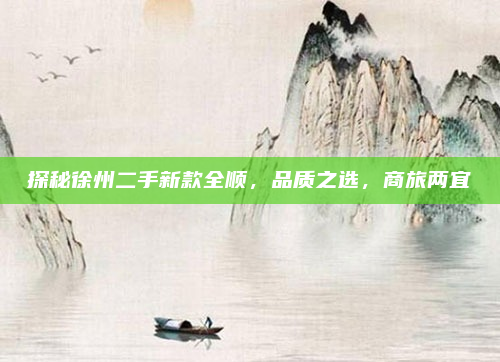 探秘徐州二手新款全顺，品质之选，商旅两宜