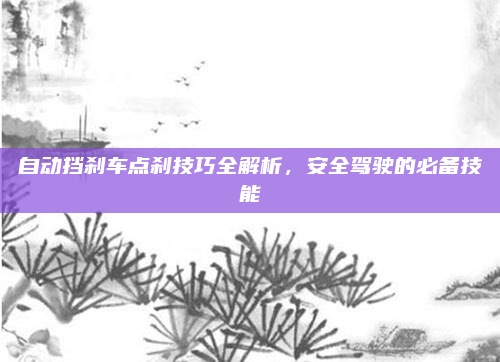 自动挡刹车点刹技巧全解析,安全驾驶的必备技能