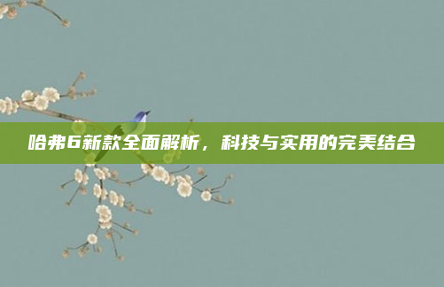哈弗6新款全面解析,科技与实用的完美结合
