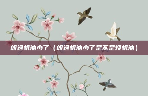 朗逸机油少了（朗逸机油少了是不是烧机油）