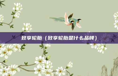 致享轮胎(致享轮胎是什么品牌)