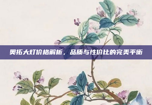 奥拓大灯价格解析，品质与性价比的完美平衡